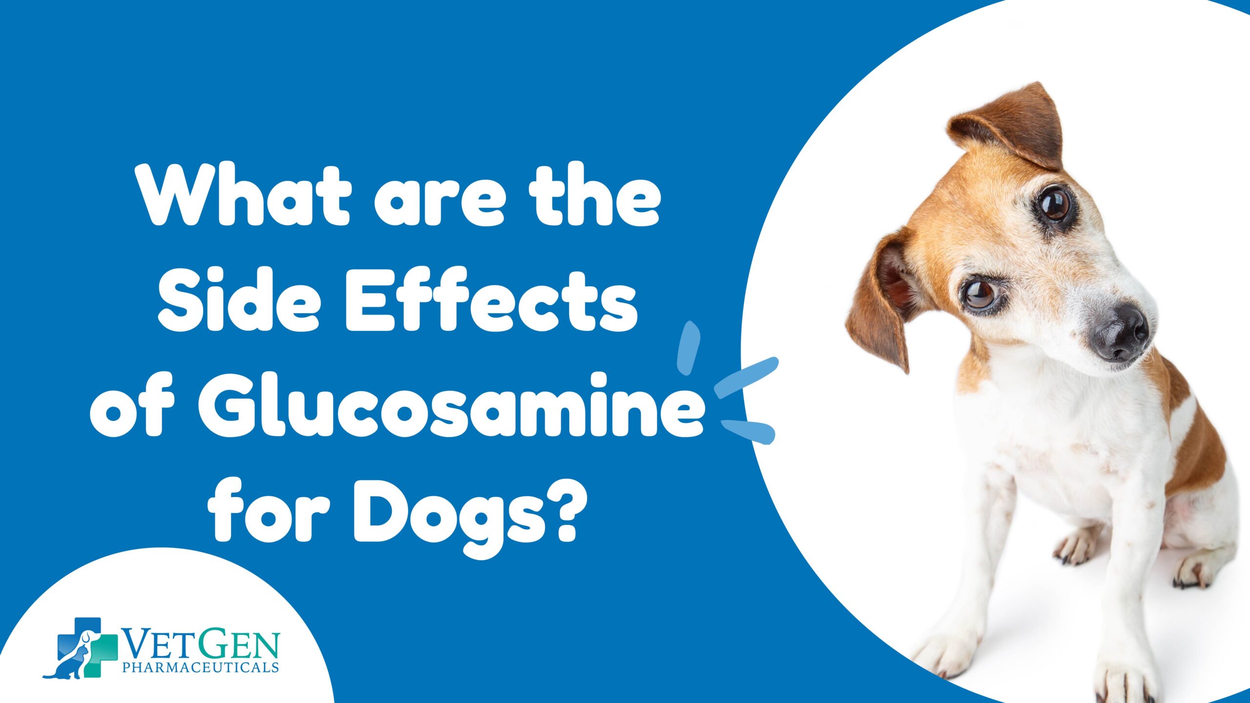 What Are The Side Effects Of Glucosamine For Dogs