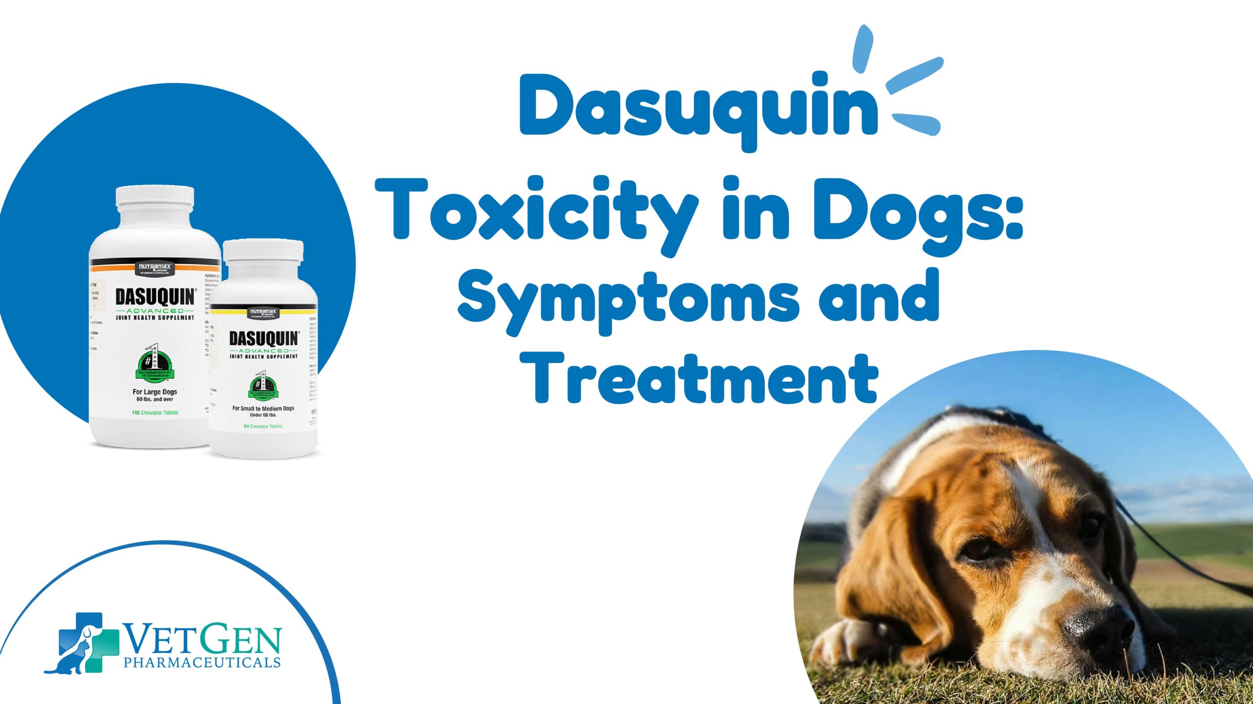 Dasuquin Toxicity in Dogs- Symptoms and Treatment