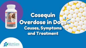 B_Cosequin Overdose in Dogs Causes, Symptoms and Treatment