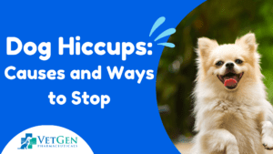 Dog Hiccups- Causes and Ways to Stop