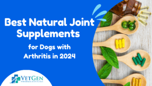 Best Natural Joint Supplements for Dogs with Arthritis in 2024