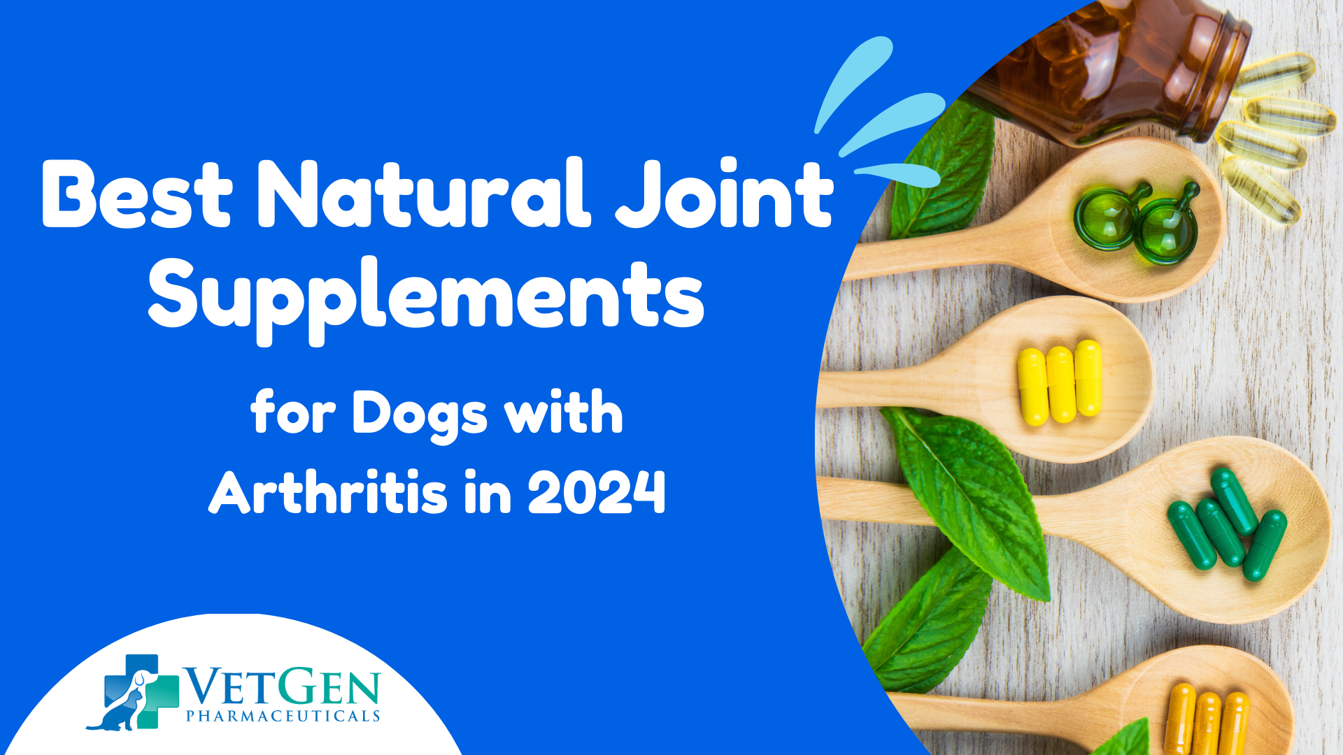 Best Natural Joint Supplements for Dogs with Arthritis 2024