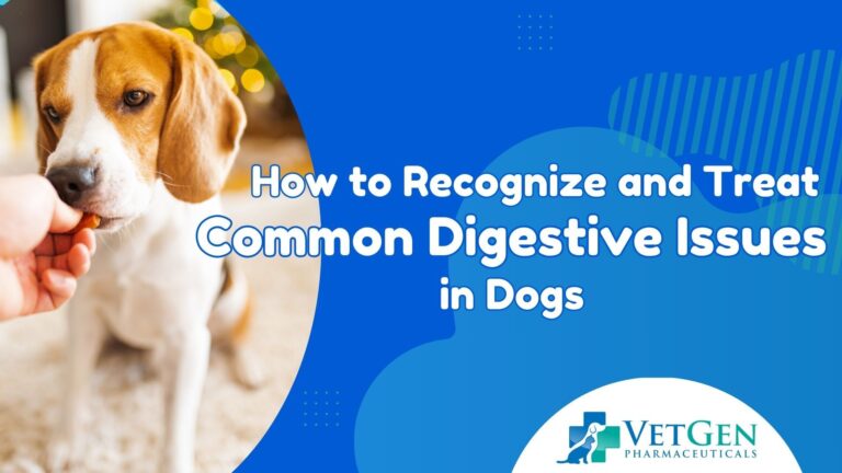 How to Recognize and Treat Common Digestive Issues in Dogs