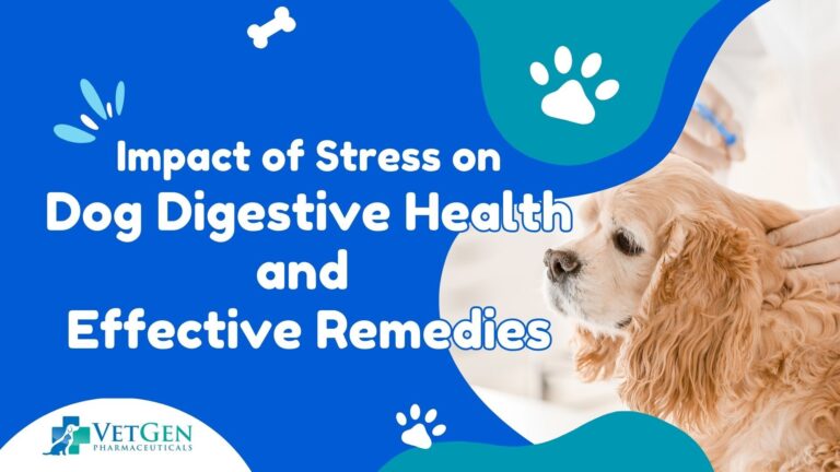 Impact of Stress on Dog Digestive Health and Effective Remedies