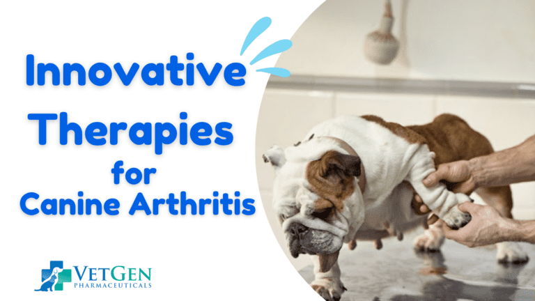 Innovative Therapies for Treating Canine Arthritis