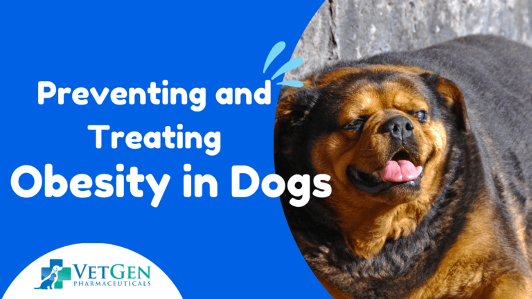 Preventing and Treating Obesity in Dogs