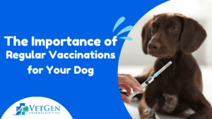 The Importance of Regular Vaccinations for Your Dog