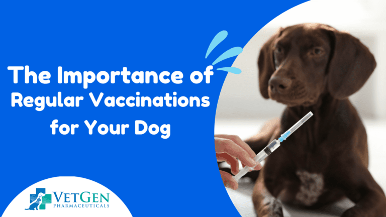 The Importance of Regular Vaccinations for Your Dog