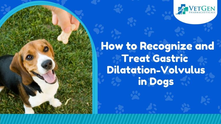 How to Recognize and Treat Gastric Dilatation-Volvulus (GDV) in Dogs  