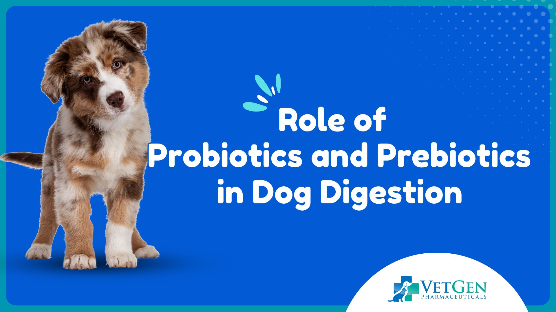 Role of Probiotics and Prebiotics in Dog Digestion