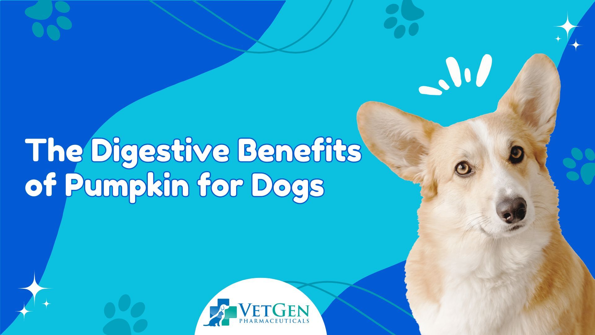 The Digestive Benefits of Pumpkin for Dogs