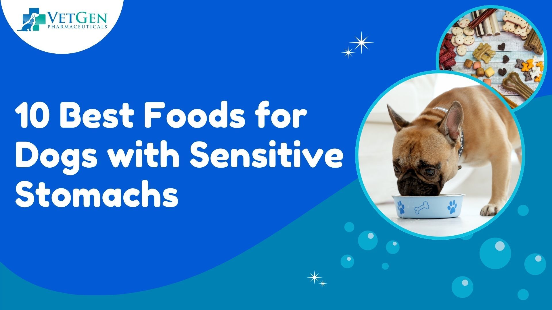 10 Best Foods for Dogs with Sensitive Stomachs