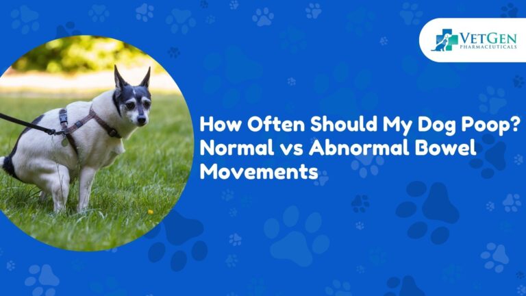 How Often Should My Dog Poop Normal vs Abnormal Bowel Movements