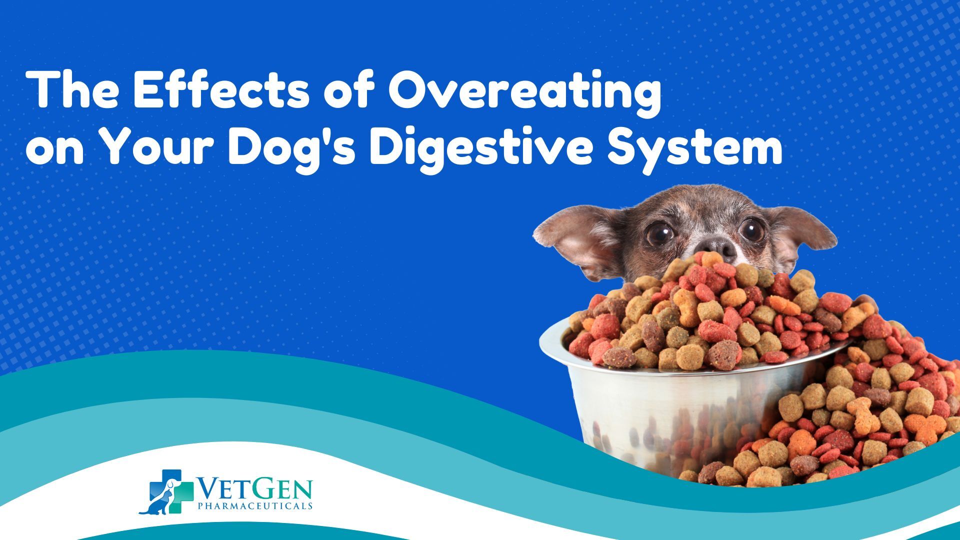 The Effects of Overeating on Your Dog's Digestive System