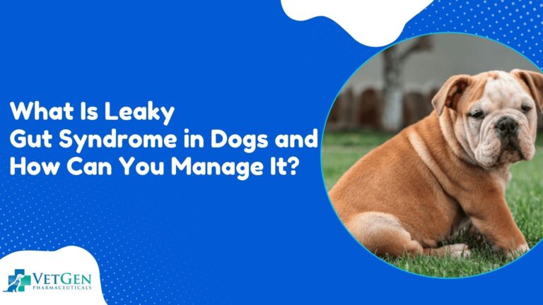 What Is Leaky Gut Syndrome in Dogs and How Can You Manage It