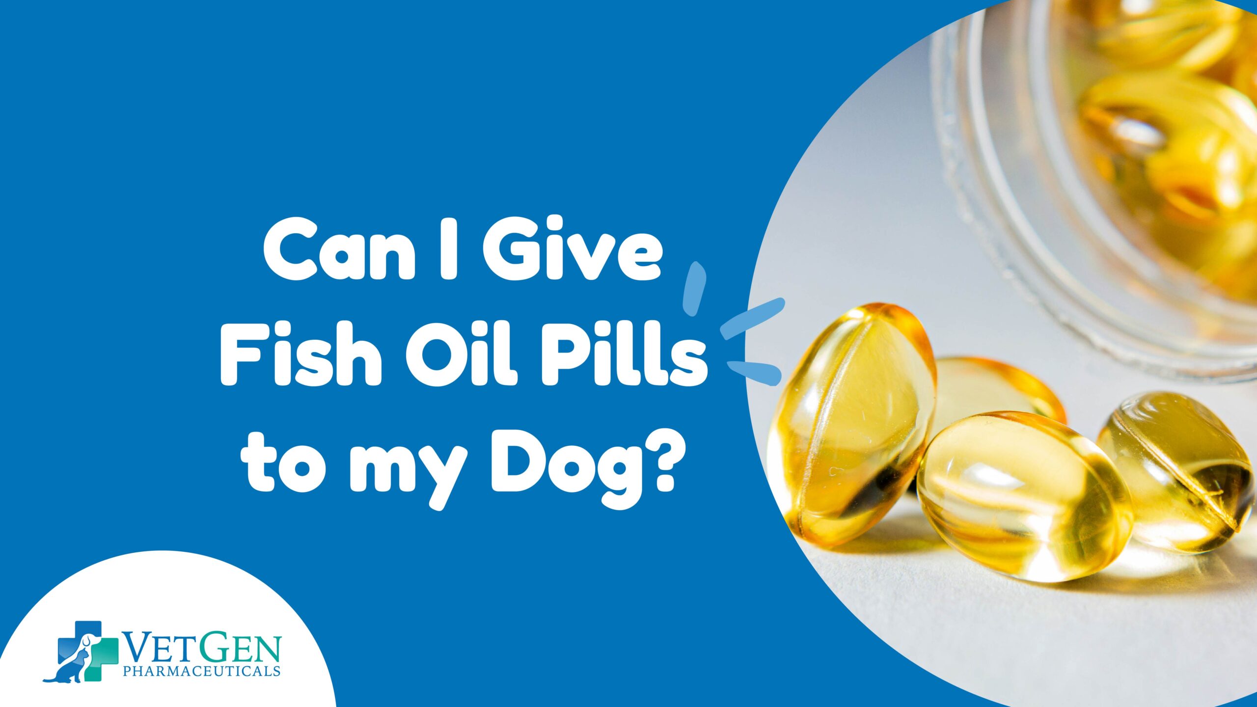 Can I Give Fish Oil Pills to My Dog?