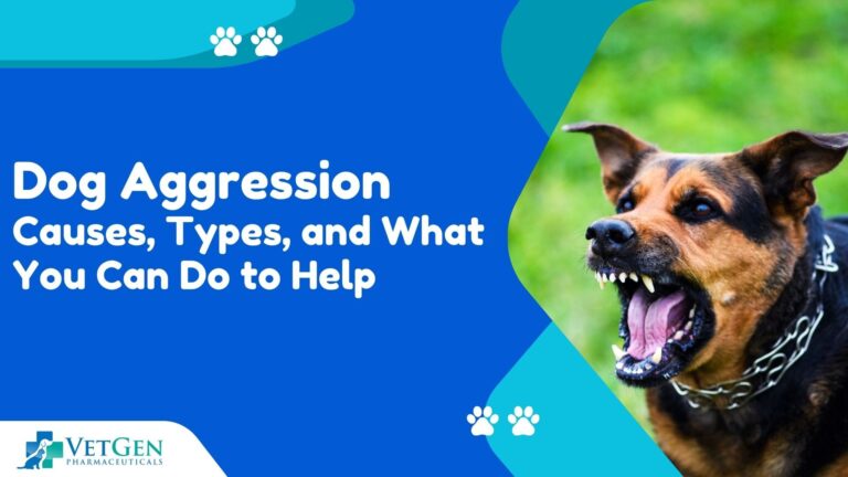 Dog Aggression Causes, Types, and What You Can Do to Help