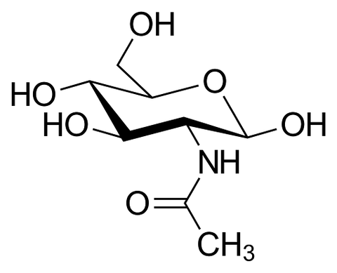 N-Acetyl-Glucosamine