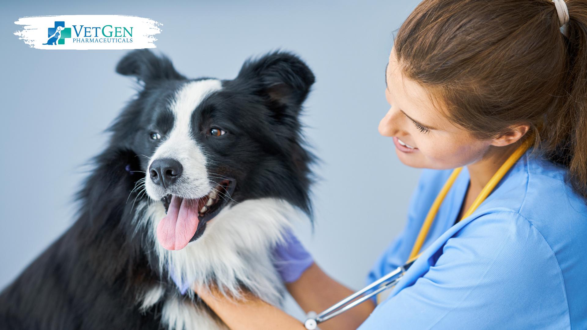 Regular veterinary checkups for preventive measures