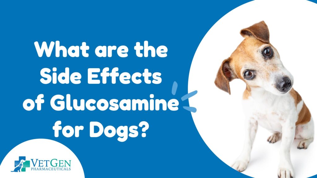 What are the side effects of glucosamine for dogs