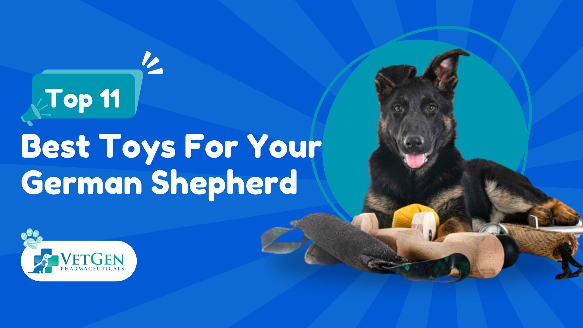 Top 11 Best Toys for Your German Shepherd Fun, Engaging, and Durable 