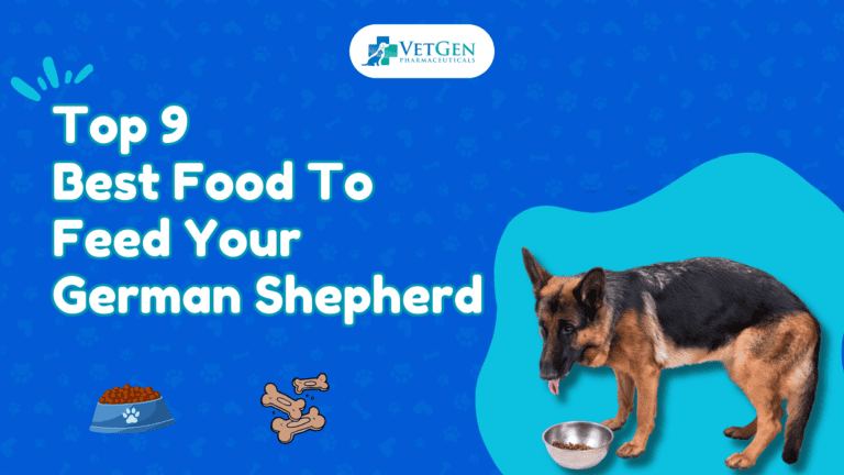 Top 9 Best Food To Feed Your German Shepherd