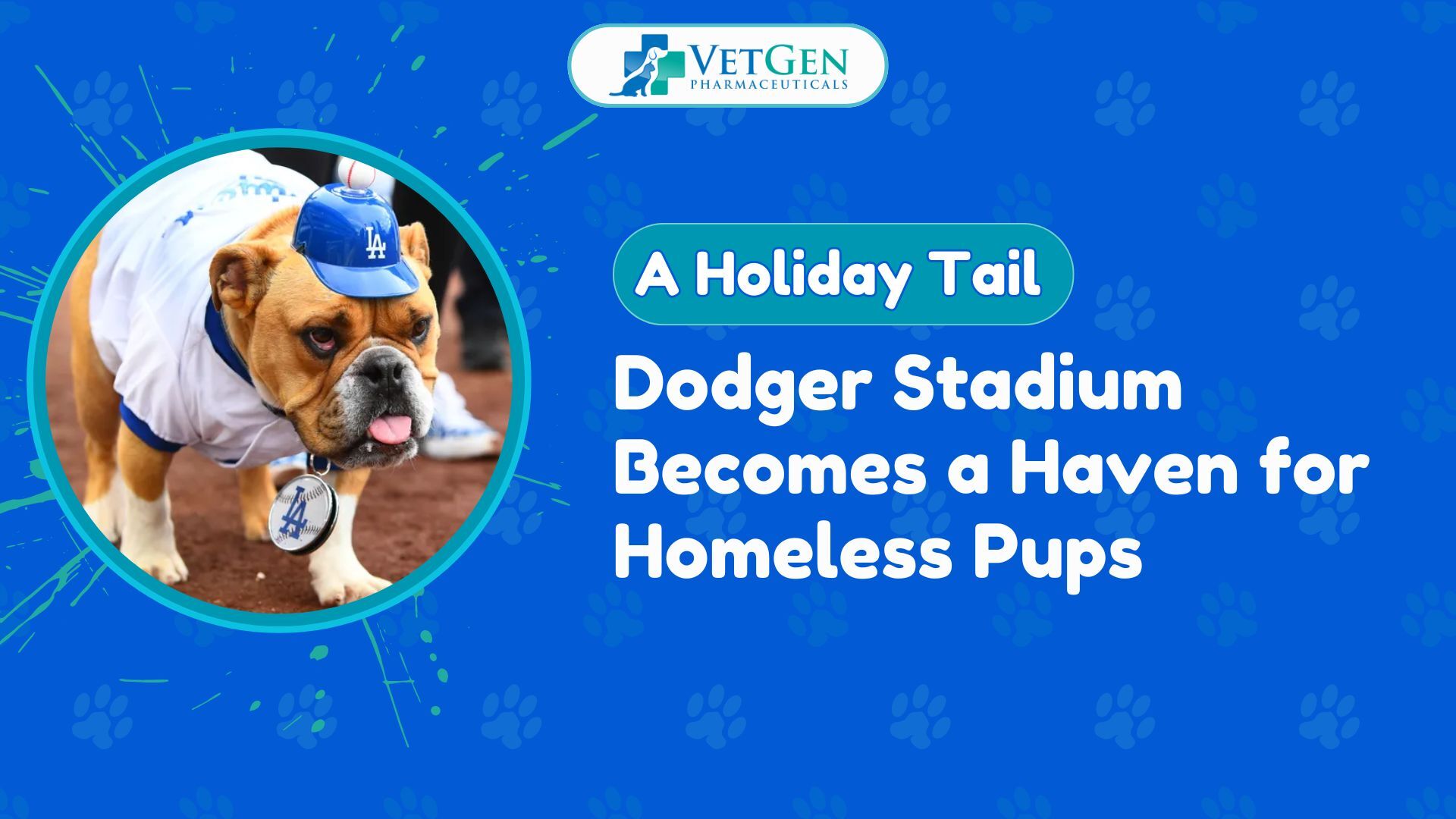 A Holiday Tail Dodger Stadium Becomes a Haven for Homeless Pups