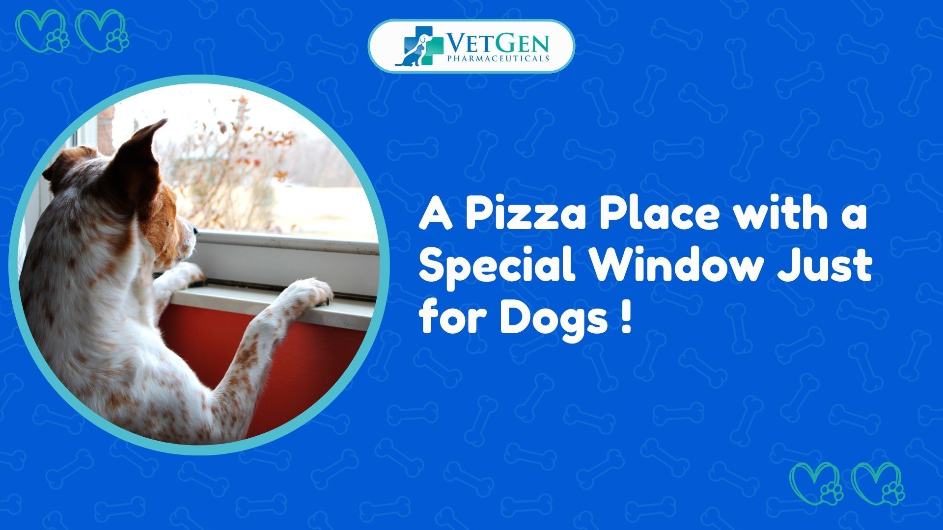 A Pizza Place with a Special Window Just for Dogs