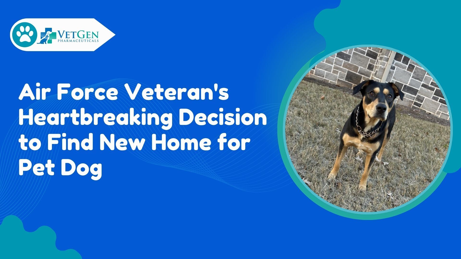 Air Force Veteran Faces Heartbreaking Decision to Find New Home for Beloved Dog