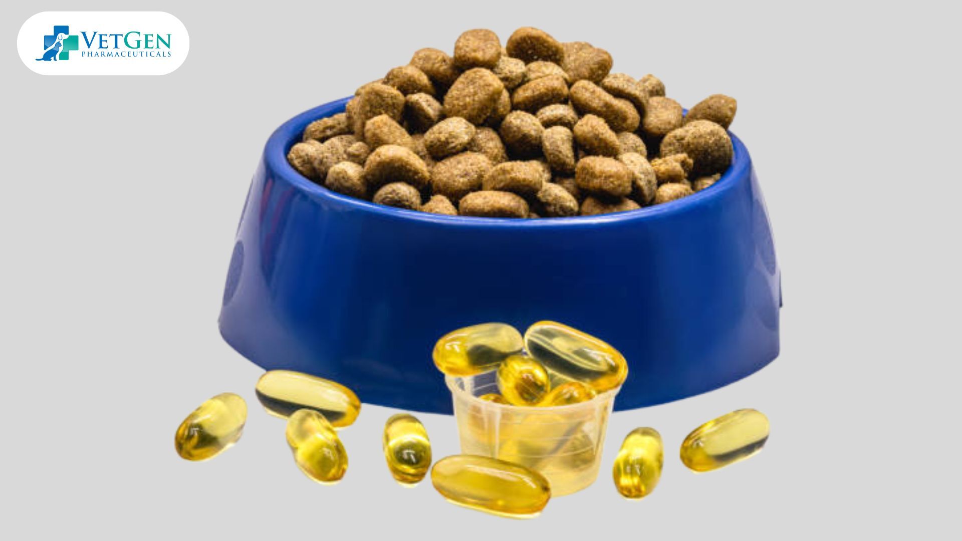 Dog Supplements