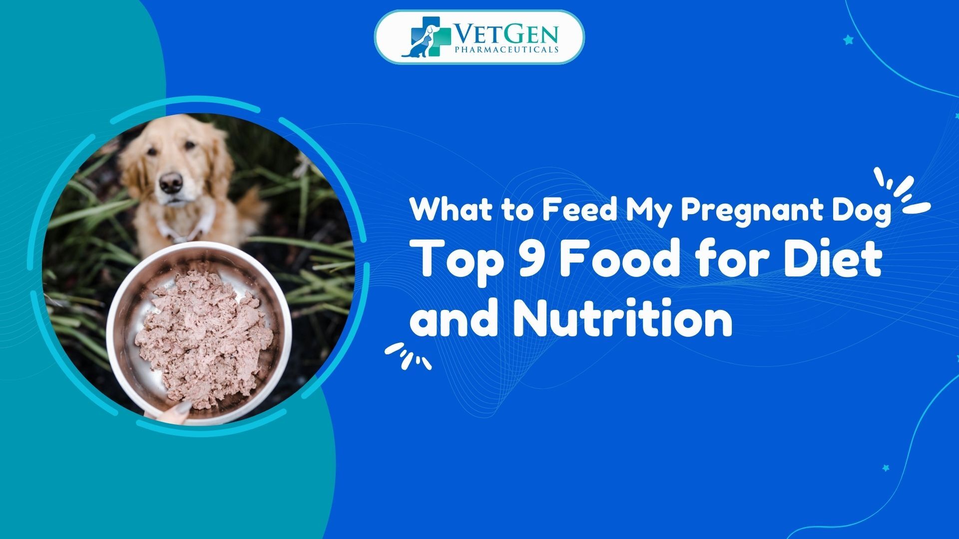 What to Feed My Pregnant Dog Top 9 Food for Diet and Nutrition