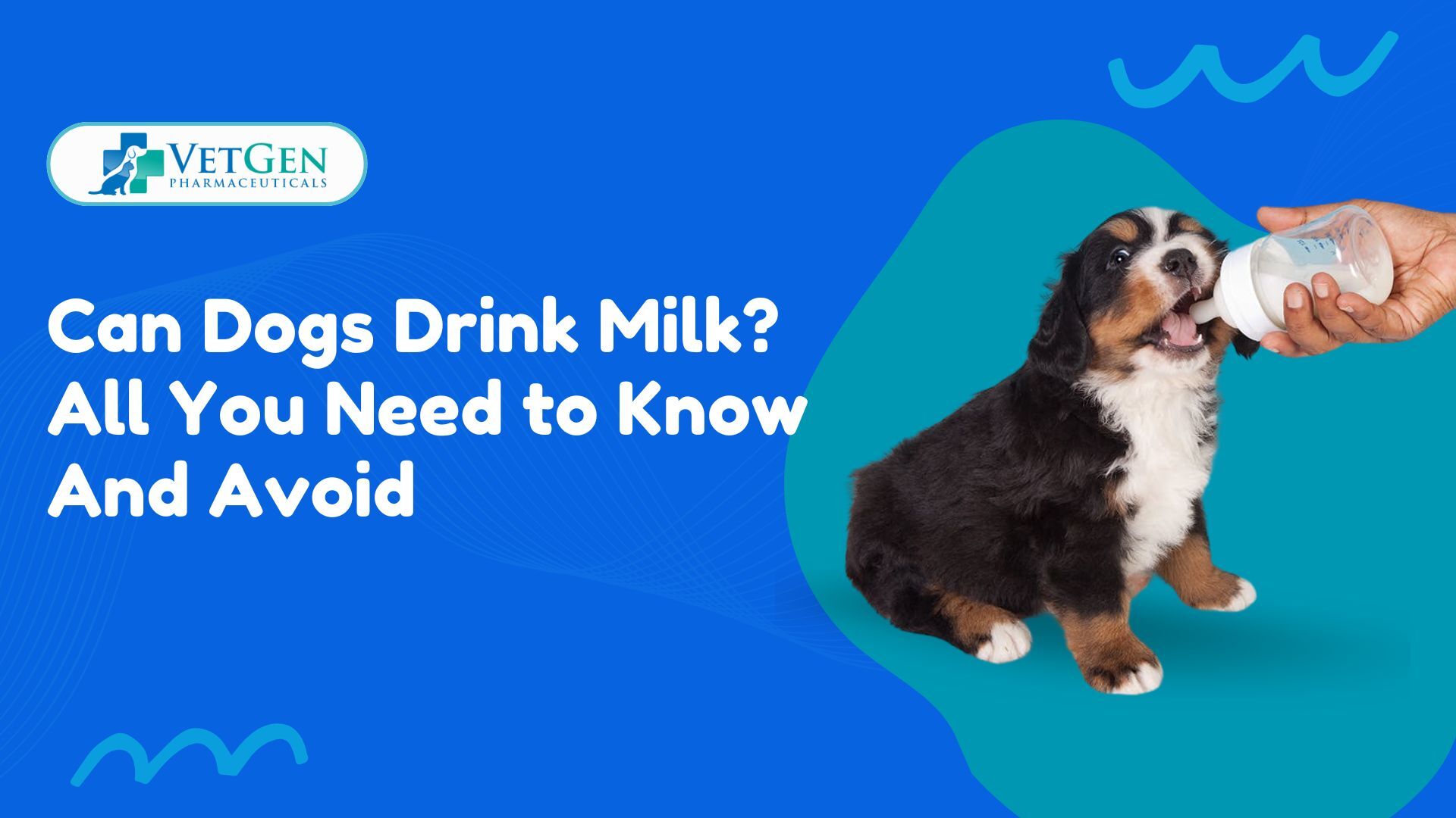 Can Dogs Drink Milk All You Need to Know And Avoid