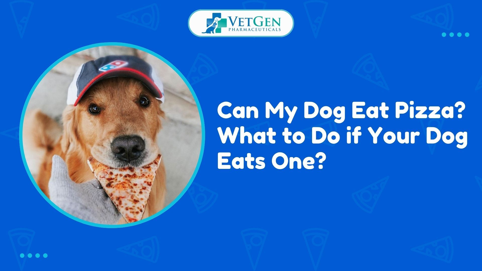 Can My Dog Eat Pizza What to Do if Your Dog Eats One