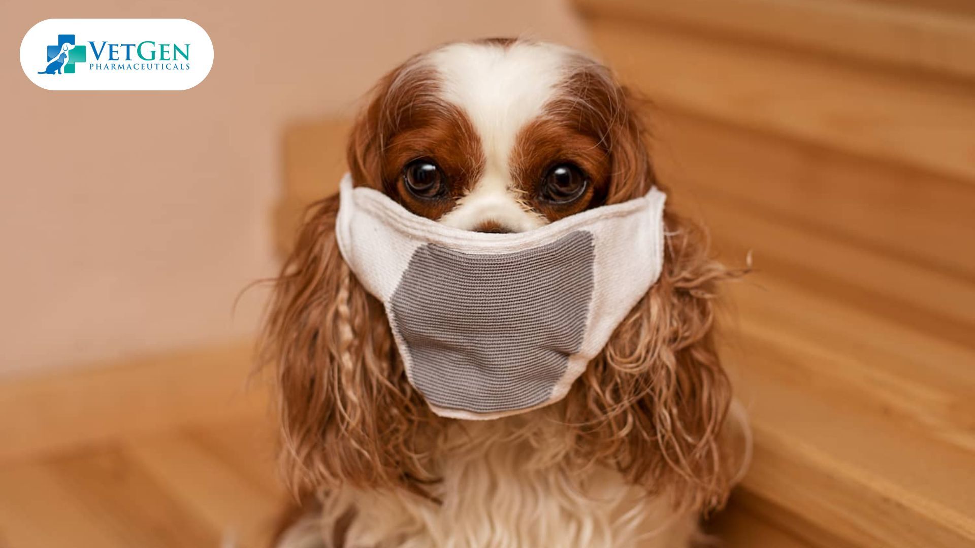 Common Causes of Bad Breath in Dogs