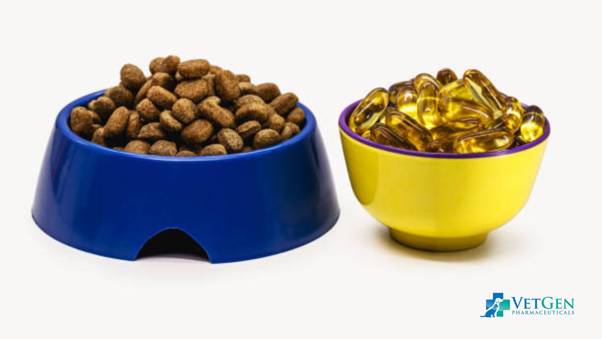 Nutrition food for dog
