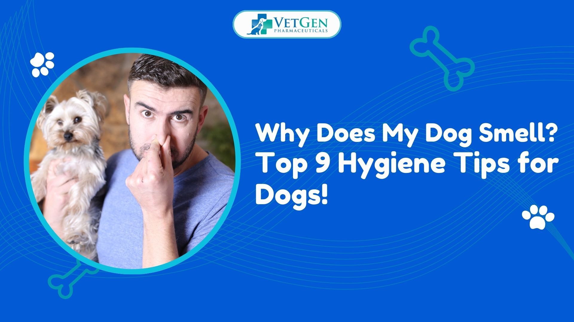 Why Does My Dog Smell Top 9 Hygiene Tips for Dogs!