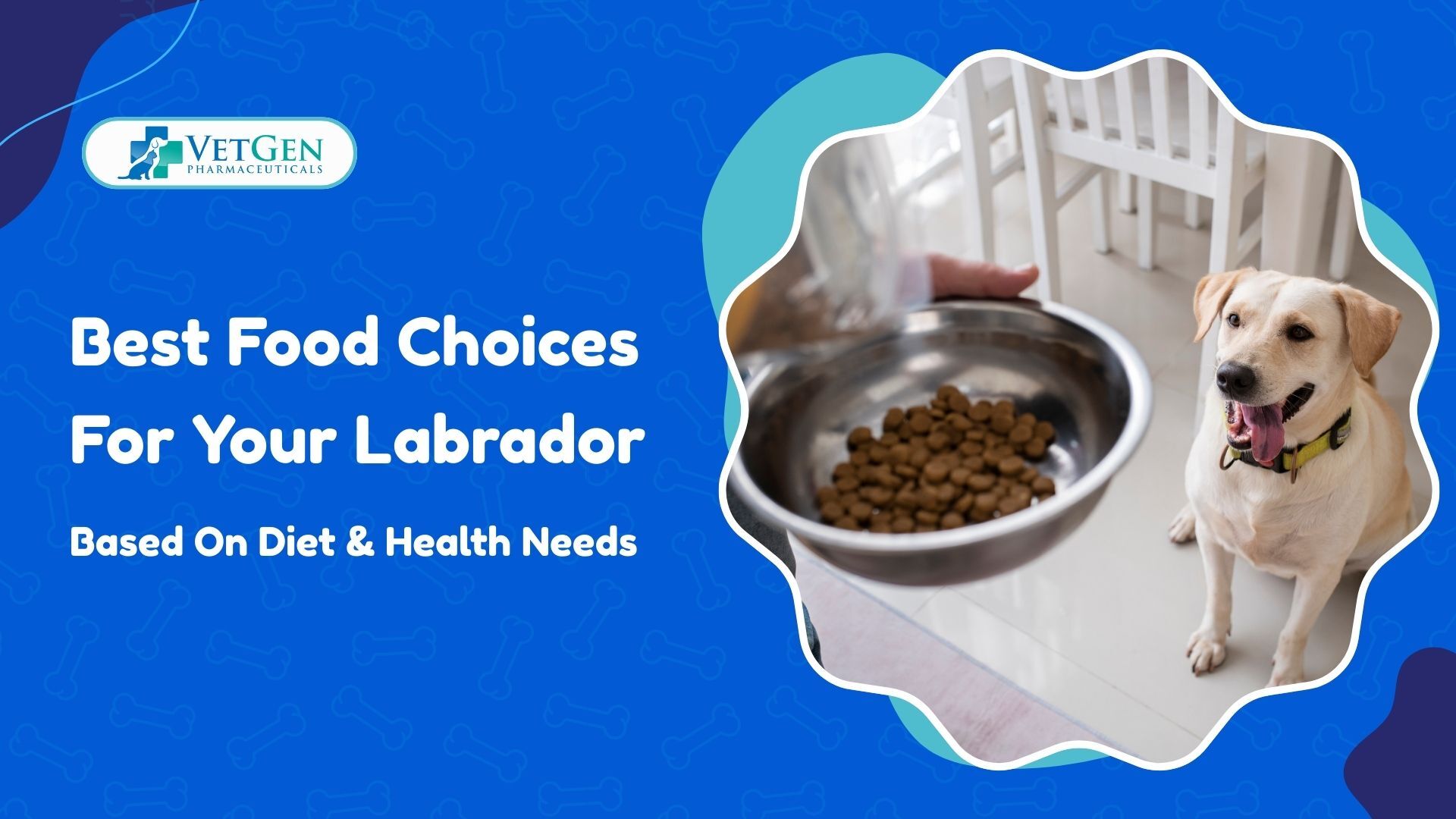 Best Food Choices for Your Labrador Based on Their Diet and Health