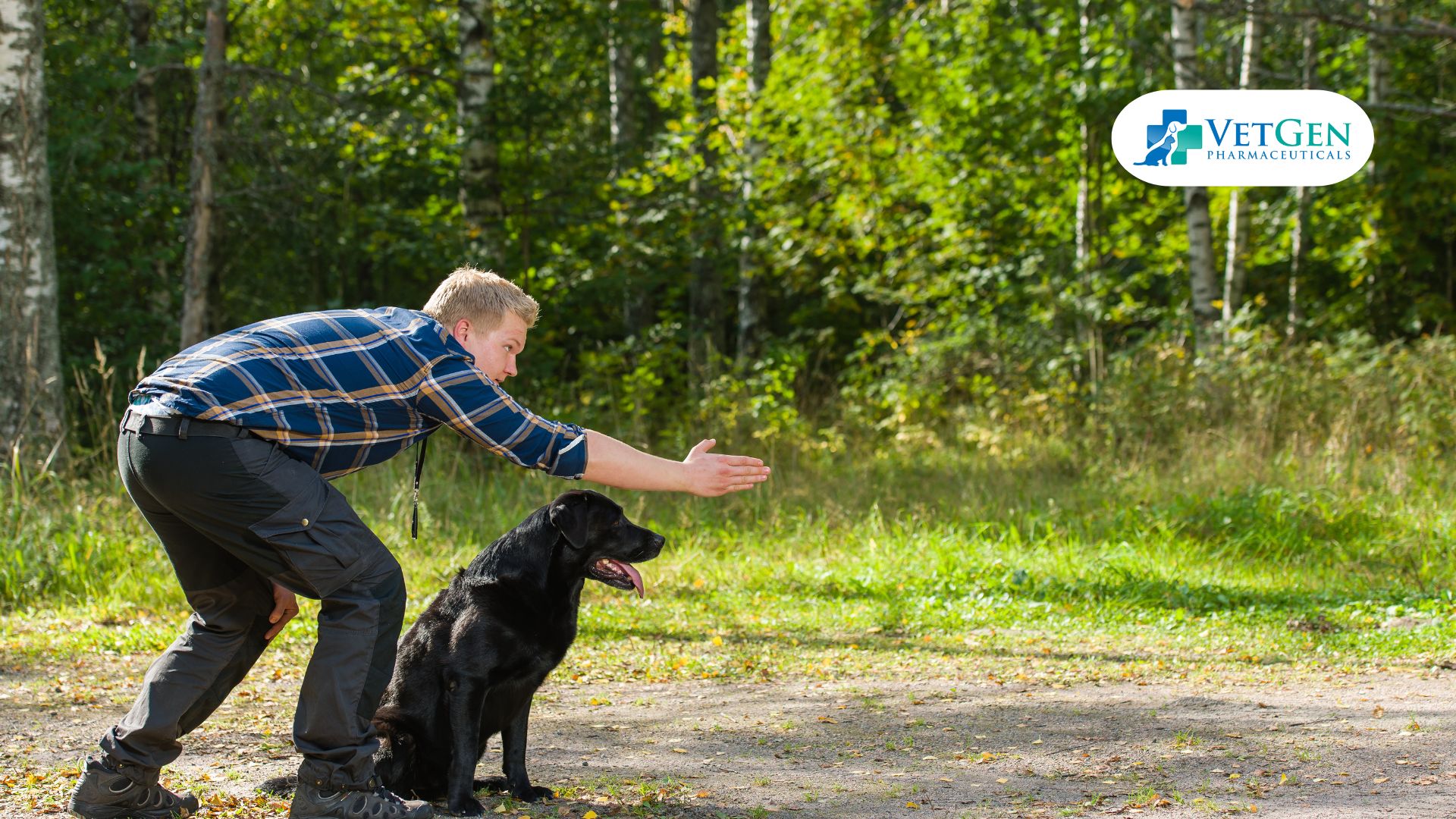 Dogs learn body language quickly