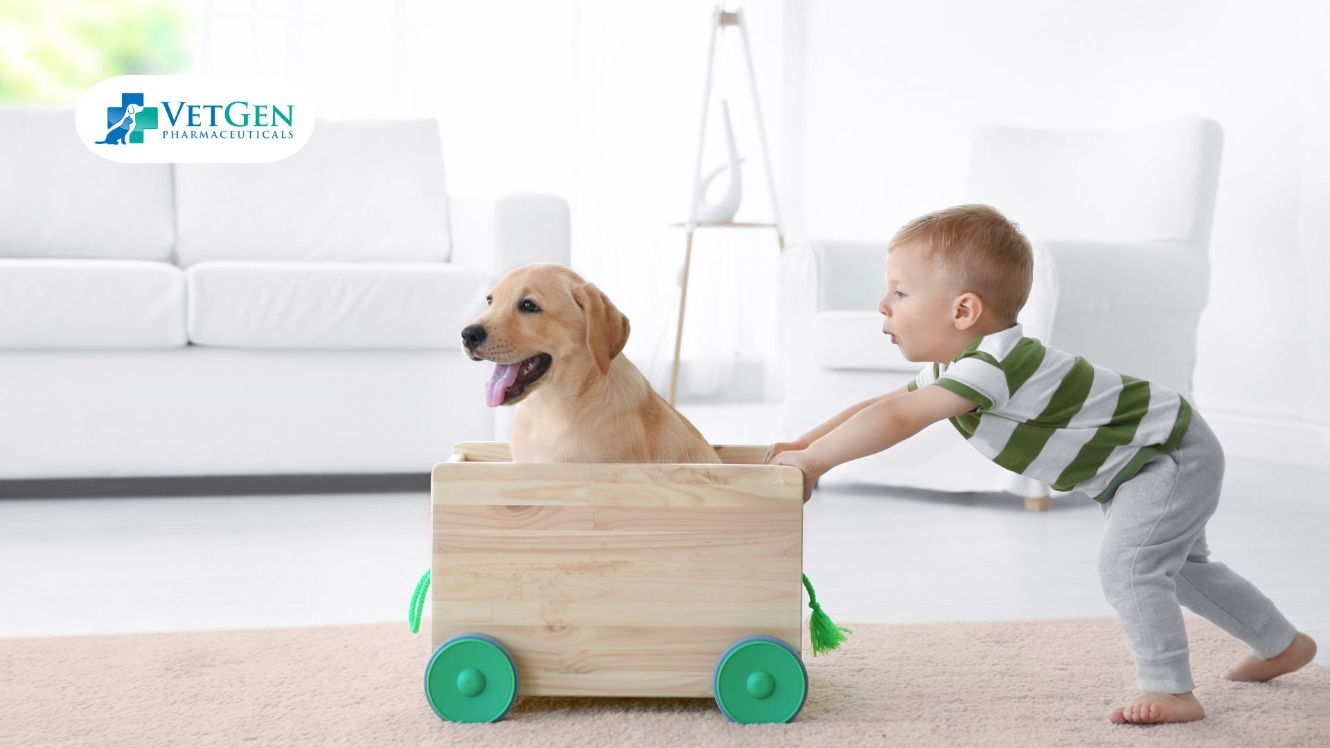 Labradors are Great with Kids