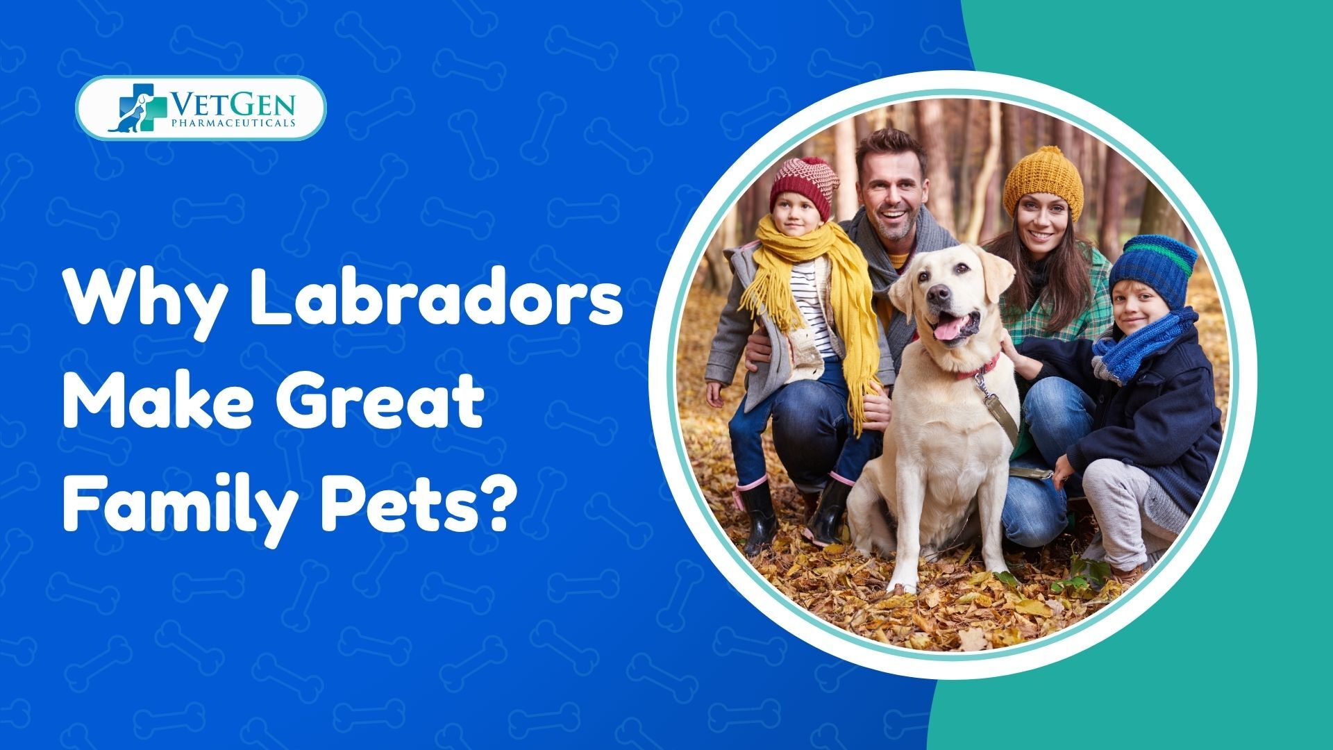 Why Labradors Make Great Family Pets