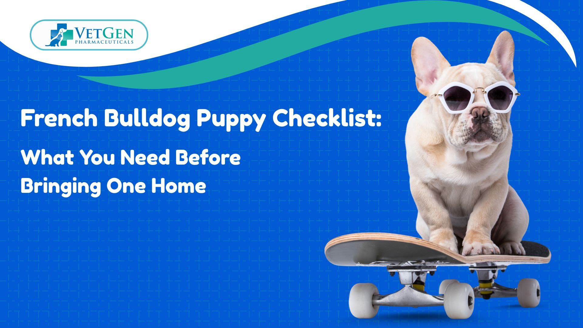 French Bulldog Puppy Checklist What You Need Before Bringing One Home 